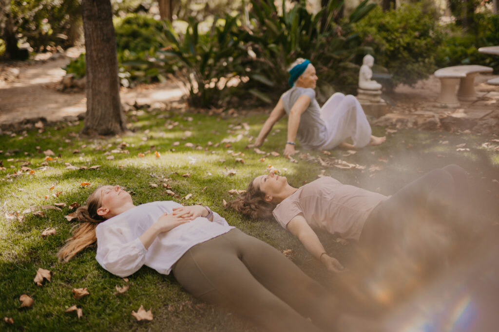 The programs featured image